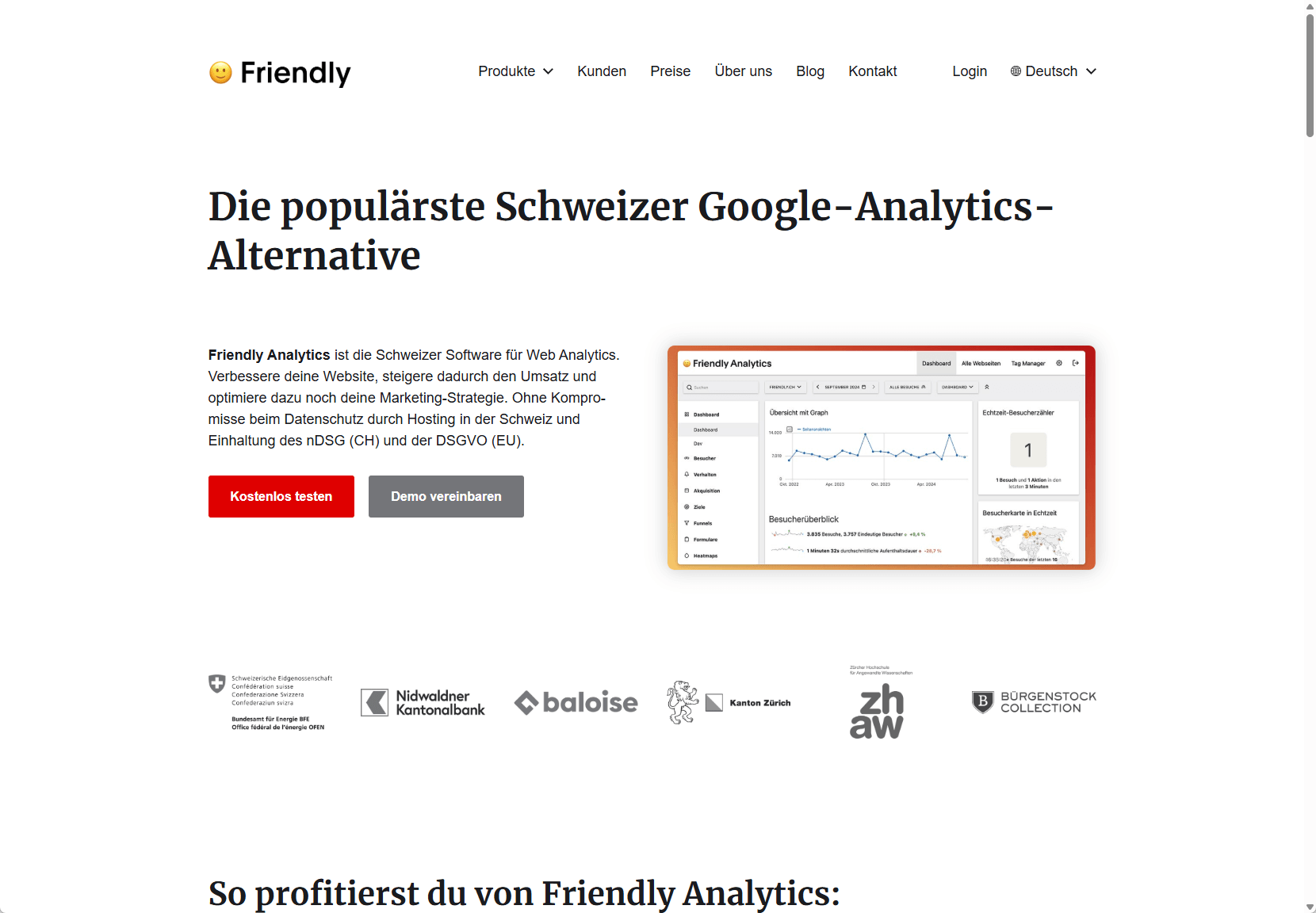 Screenshot Website friendly.ch/de/analytics